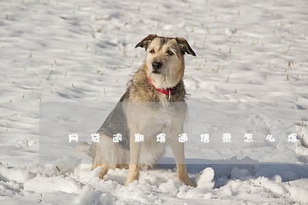 网贷逾期爆通信录怎么爆的 网贷逾期爆通信录怎么爆的