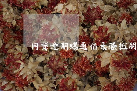 网贷逾期爆通信录骚扰朋友 网贷逾期爆通信录骚扰朋友