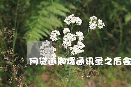 网贷逾期爆通讯录之后会怎样 网贷逾期爆通讯录之后会怎样
