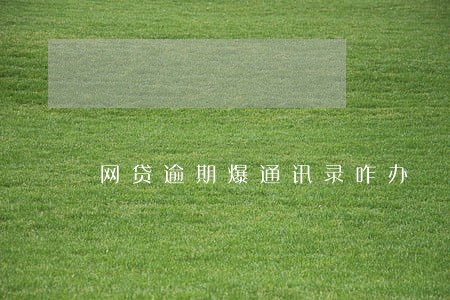 网贷逾期爆通讯录咋办