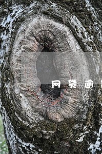 网贷逾期爆通讯录如何投诉 网贷逾期爆通讯录如何投诉