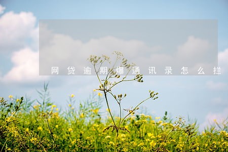 网贷逾期爆通讯录怎么拦截 网贷逾期爆通讯录怎么拦截