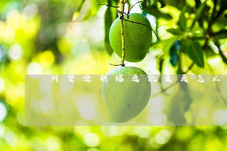 网贷逾期爆通讯录是怎么爆 网贷逾期爆通讯录是怎么爆