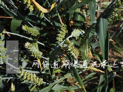 网贷逾期爆通讯录还需要还吗 网贷逾期爆通讯录还需要还吗
