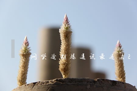 网贷逾期爆通讯录违法2021 网贷逾期爆通讯录违法2021