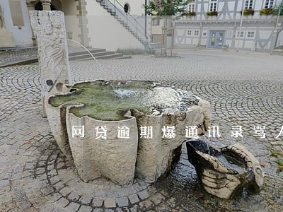 网贷逾期爆通讯录骂人