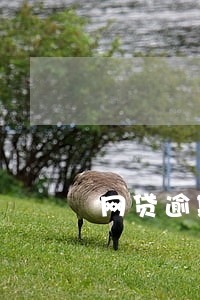 网贷逾期爆通话记录违法 网贷逾期爆通话记录违法