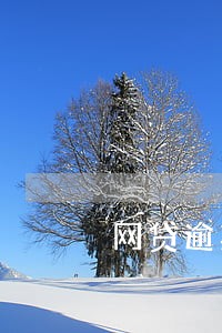 网贷逾期爆通迅录违法 网贷逾期爆通迅录违法