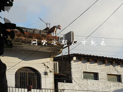 网贷逾期父母就医 网贷逾期父母就医