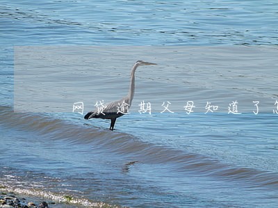 网贷逾期父母知道了怎么办 网贷逾期父母知道了怎么办