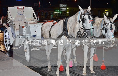 网贷逾期爸妈能贷款吗