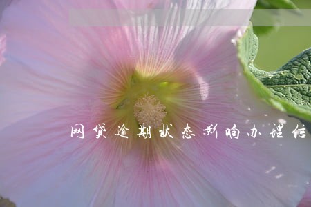 网贷逾期状态影响办理信用卡吗
