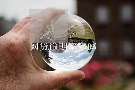 网贷逾期率多吗 网贷逾期率多吗