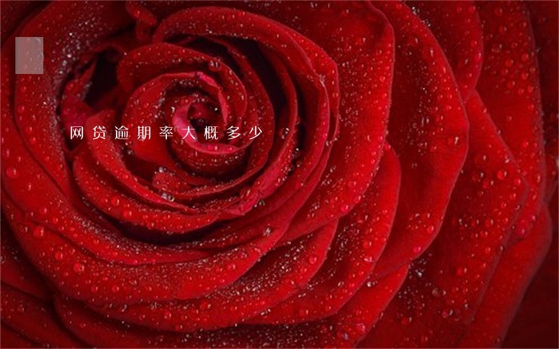 网贷逾期率大概多少 网贷逾期率大概多少