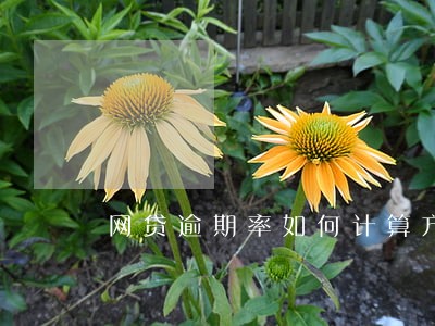 网贷逾期率如何计算方法 网贷逾期率如何计算方法
