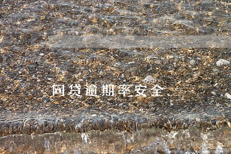 网贷逾期率安全 网贷逾期率安全
