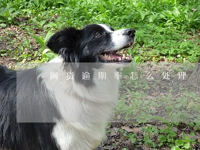 网贷逾期率怎么处理 网贷逾期率怎么处理