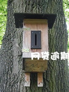 网贷逾期玖富公司流程 网贷逾期玖富公司流程