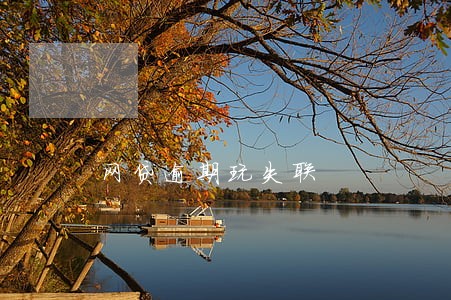 网贷逾期玩失联 网贷逾期玩失联