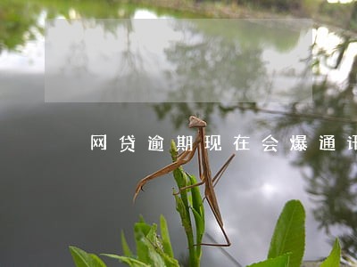 网贷逾期现在会爆通讯录吗 网贷逾期现在会爆通讯录吗