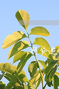 网贷逾期现在收到被告消息 网贷逾期现在收到被告消息