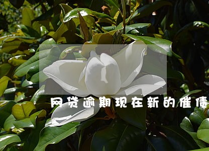 网贷逾期现在新的催债方式 网贷逾期现在新的催债方式