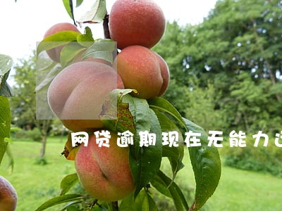 网贷逾期现在无能力还 网贷逾期现在无能力还