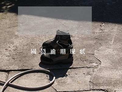 网贷逾期现状 网贷逾期现状