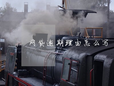 网贷逾期理由怎么写