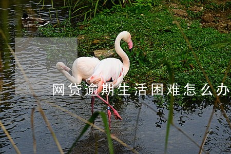 网贷逾期生活困难怎么办 网贷逾期生活困难怎么办