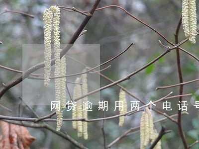 网贷逾期用两个电话号码 网贷逾期用两个电话号码