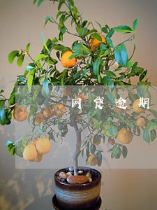 网贷逾期用我手机号到处注册 网贷逾期用我手机号到处注册