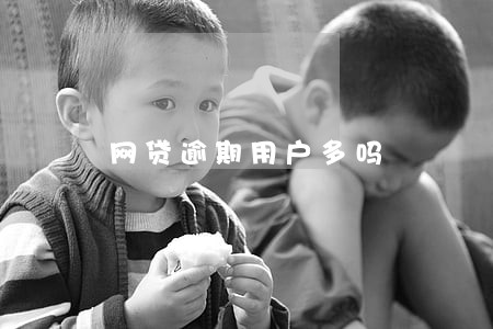 网贷逾期用户多吗
