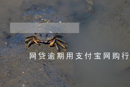 网贷逾期用支付宝网购行不行 网贷逾期用支付宝网购行不行