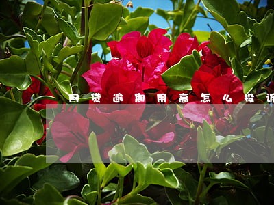 网贷逾期用高怎么投诉