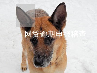 网贷逾期申报稽查
