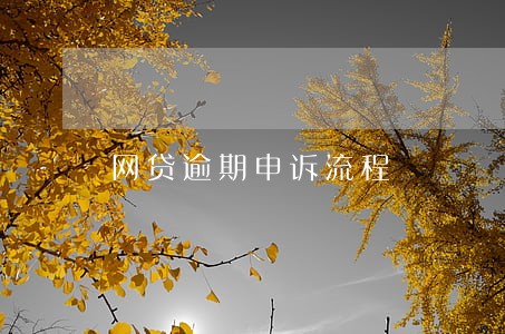 网贷逾期申诉流程 网贷逾期申诉流程