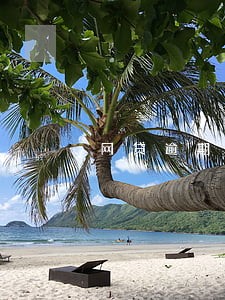 网贷逾期申请个性化 网贷逾期申请个性化