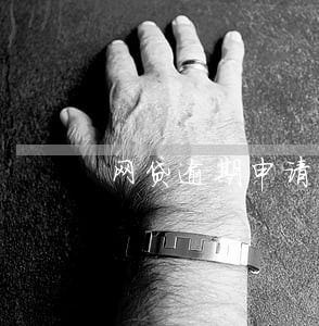 网贷逾期申请冻结财产 网贷逾期申请冻结财产