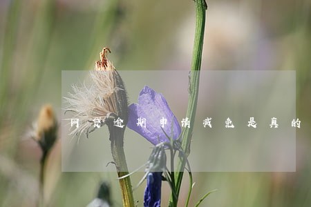 网贷逾期申请减免是真的吗 网贷逾期申请减免是真的吗