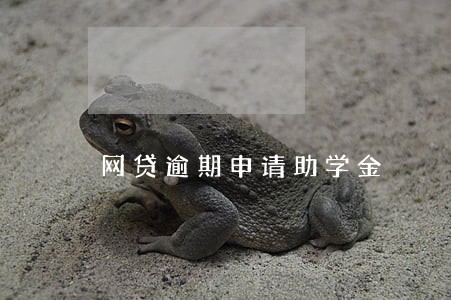 网贷逾期申请助学金