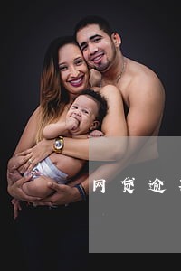 网贷逾期申请强制执行
