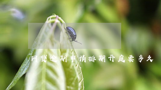 网贷逾期申请排期开庭要多久 网贷逾期申请排期开庭要多久