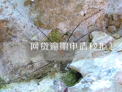 网贷逾期申请秒拒怎么办 网贷逾期申请秒拒怎么办