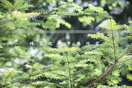 网贷逾期申请网贷 网贷逾期申请网贷