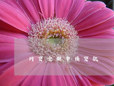 网贷逾期申请贷款 网贷逾期申请贷款