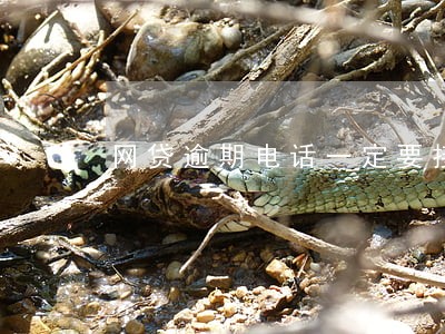 网贷逾期电话一定要接嘛 网贷逾期电话一定要接嘛