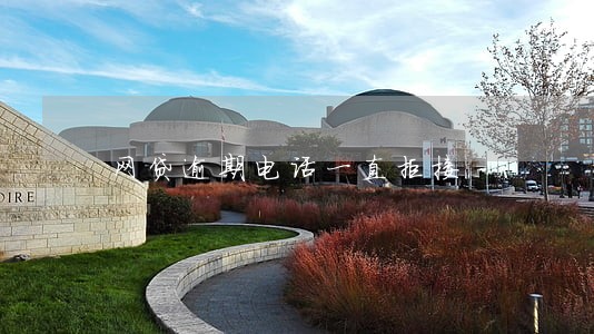 网贷逾期电话一直拒接 网贷逾期电话一直拒接