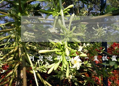 网贷逾期电话一直拦截 网贷逾期电话一直拦截
