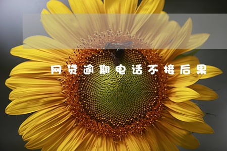 网贷逾期电话不接后果 网贷逾期电话不接后果